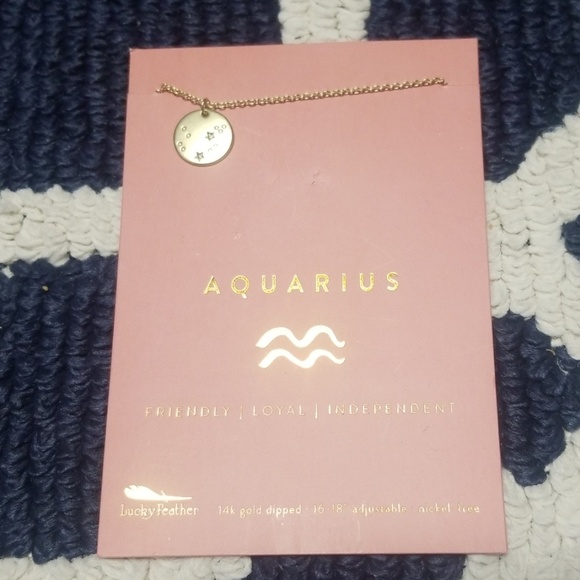 Great gifts! Various Zodiac Necklaces ♋♒♊♈ - Picture 2 of 5